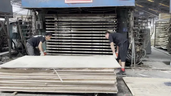 9/12/18mm Construcción impermeable comercial Película de madera dura de melamina frente a la madera contrachapada de muebles de encofrado de álamo con ISO9001